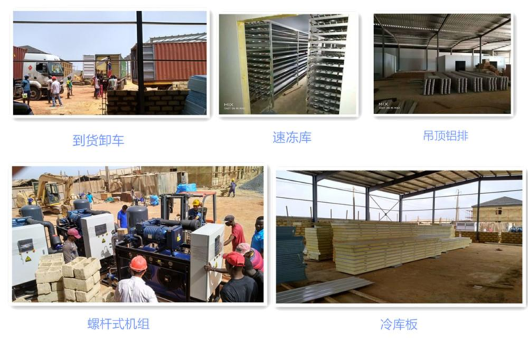 Senegal 3,000㎡ Cold Storage & Quick-Frozen Storage (Installed Overseas)