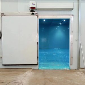 Manual Sliding Cold Storage Door