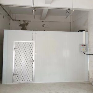 Single-Leaf Hinged Cold Storage Door