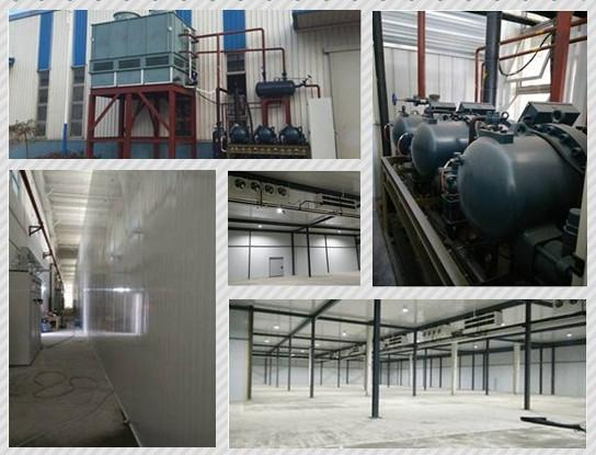 Tianjin Hangu Jinbin Wufu 4,000㎡ Fresh-keeping Cold Storage Project