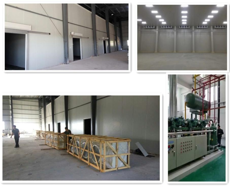 Beijing Meilay (Changping) 4,000㎡ Freezing + Fresh-keeping Cold Storage