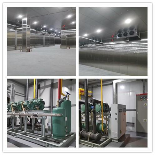 Guangzhou Baiyun Airport 4,000㎡ Medical Warehouse