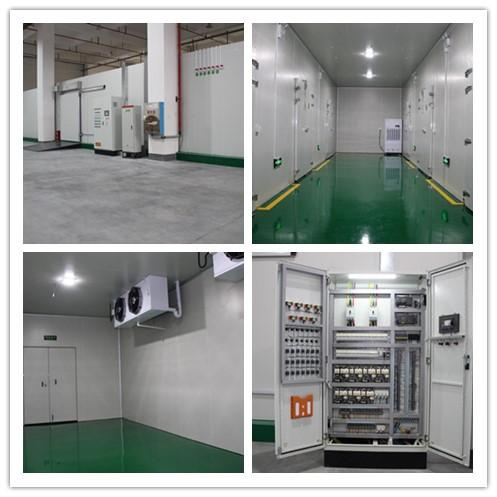 Sinopharm Holding (Tianjin) 3,500㎡ Cold Chain Pharmaceutical Warehouse